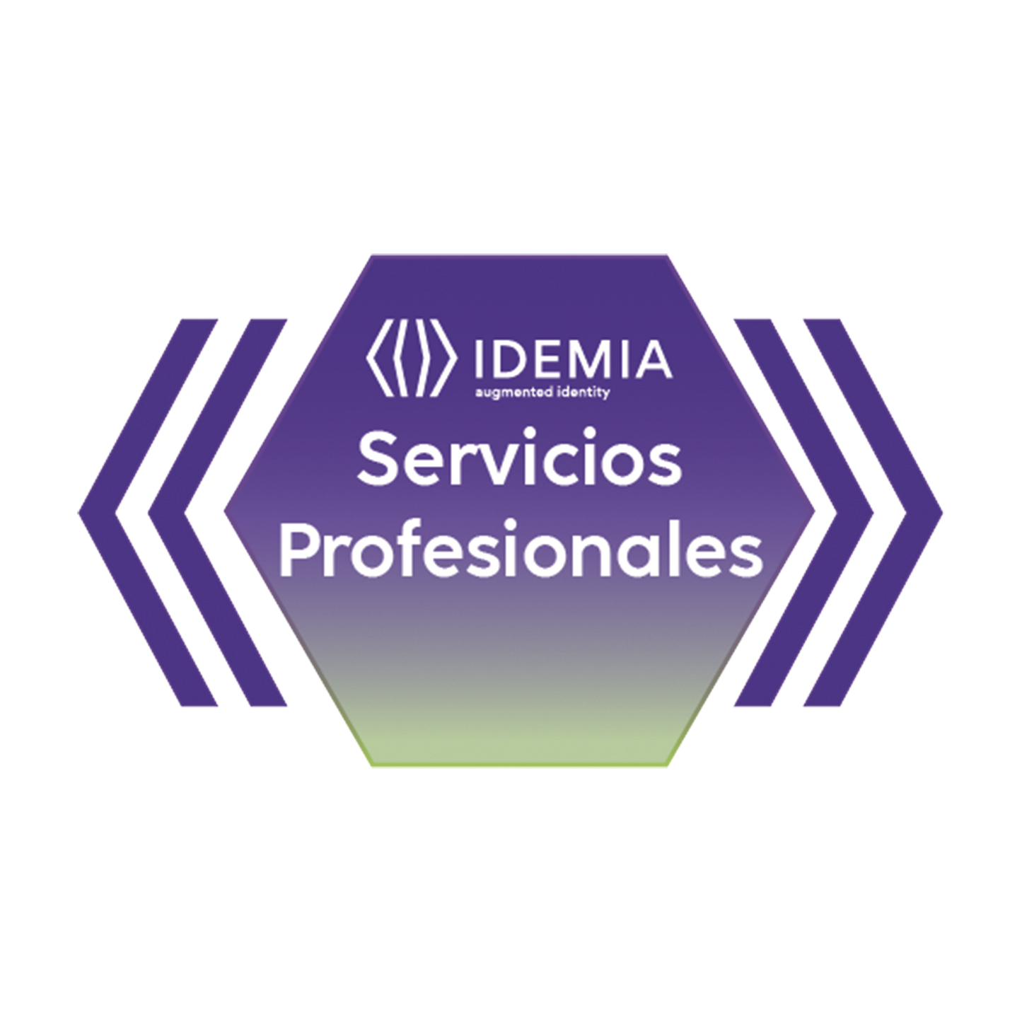 BCD SDK Integración básica 4 horas de soporte remoto