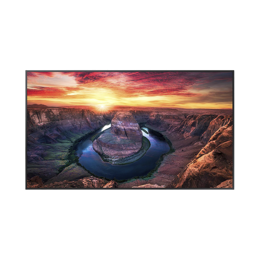 Pantalla Profesional LED de 65", UHD 4K (3840x2160p), Entradas de Video HDMI/DisplayPort, Bocinas Integradas de 10 W. Compatible VESA. Modo de Simulación DICOM