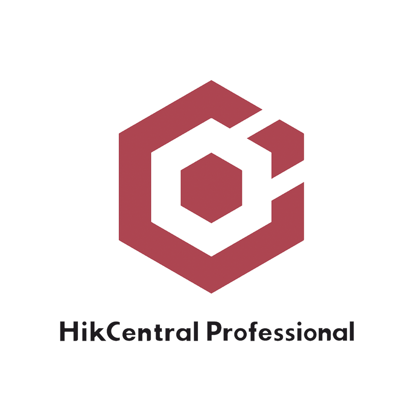 HikCentral Professional / Licencia Añade 1 Canal ANPR para solución Mobile (HikCentral-P-MS-1Ch/ANPR)