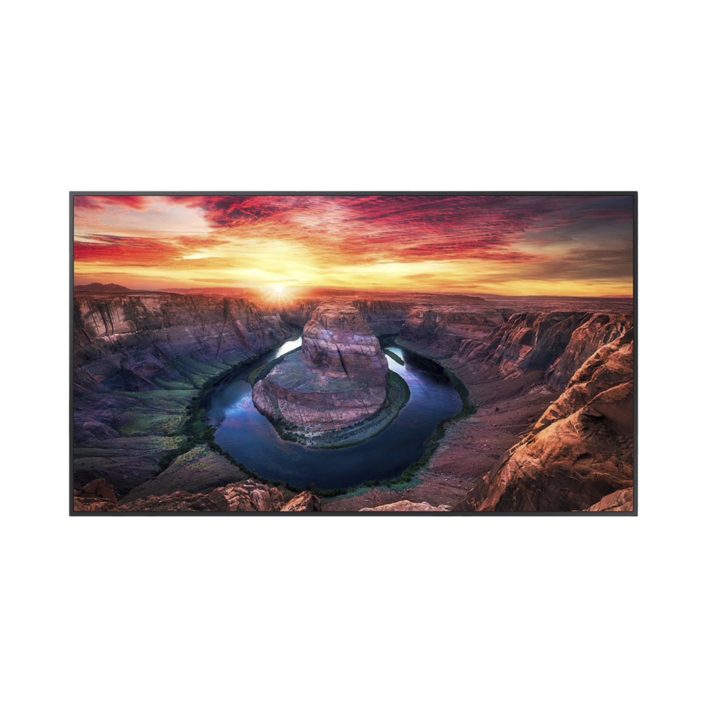 Pantalla Profesional LED de 65", UHD 4K (3840x2160p), Entradas de Video HDMI/DisplayPort, Bocinas Integradas de 10 W. Compatible VESA. Modo de Simulación DICOM